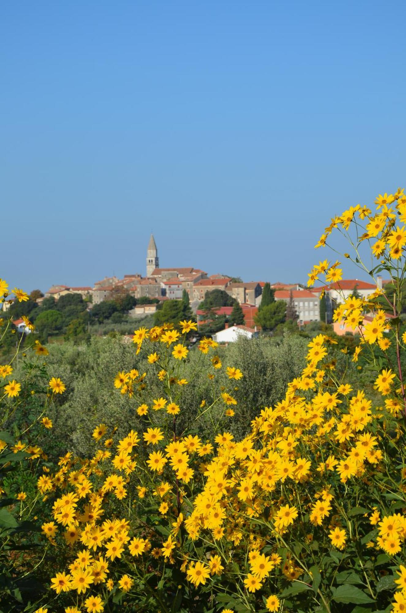Villa Leopoldo By Istrian Country Houses Barat  Eksteriør billede
