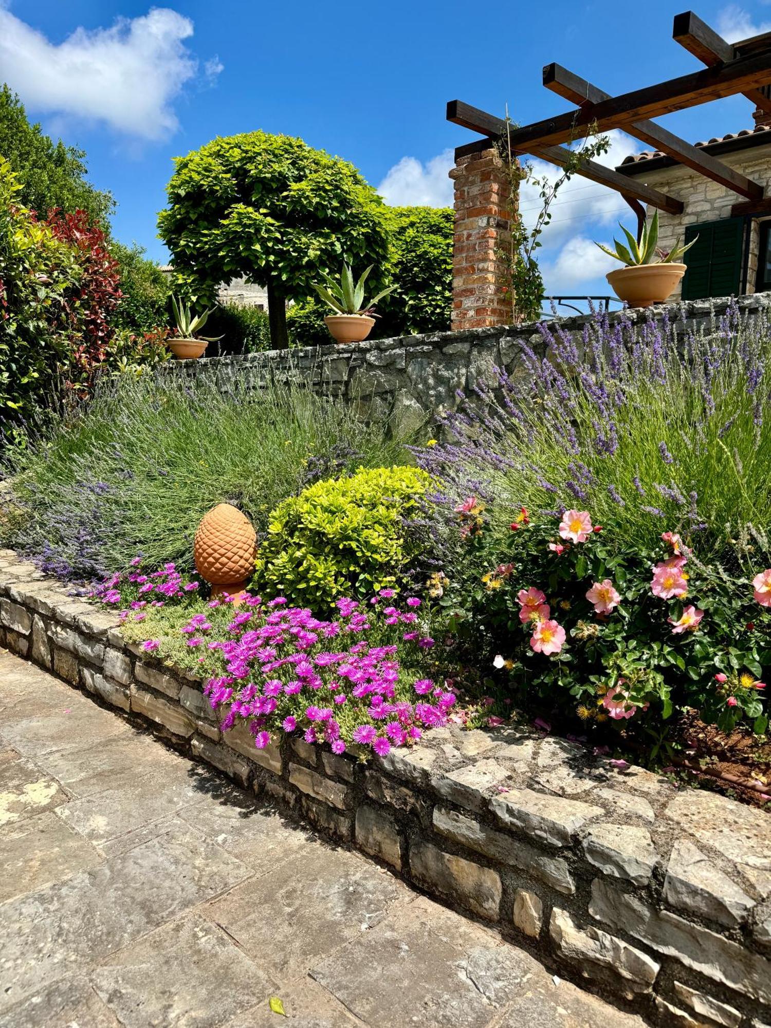 Villa Leopoldo By Istrian Country Houses Barat  Eksteriør billede